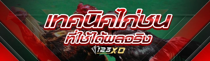 เทคนิคไก่ชน ที่ใช้ได้ผลจริง