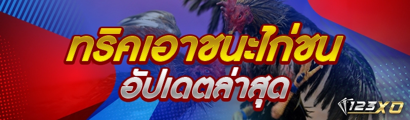 ทริคเอาชนะไก่ชน อัปเดตล่าสุด