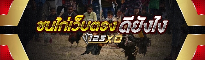 ชนไก่เว็บตรง ดียังไง